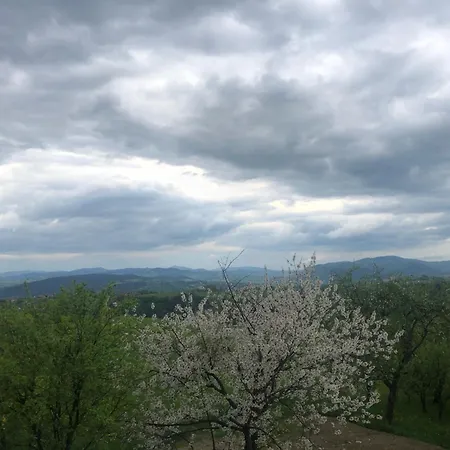 公寓 Emerald Hills