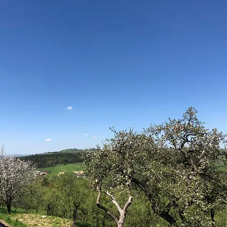 Emerald Hills 公寓 Januszowa